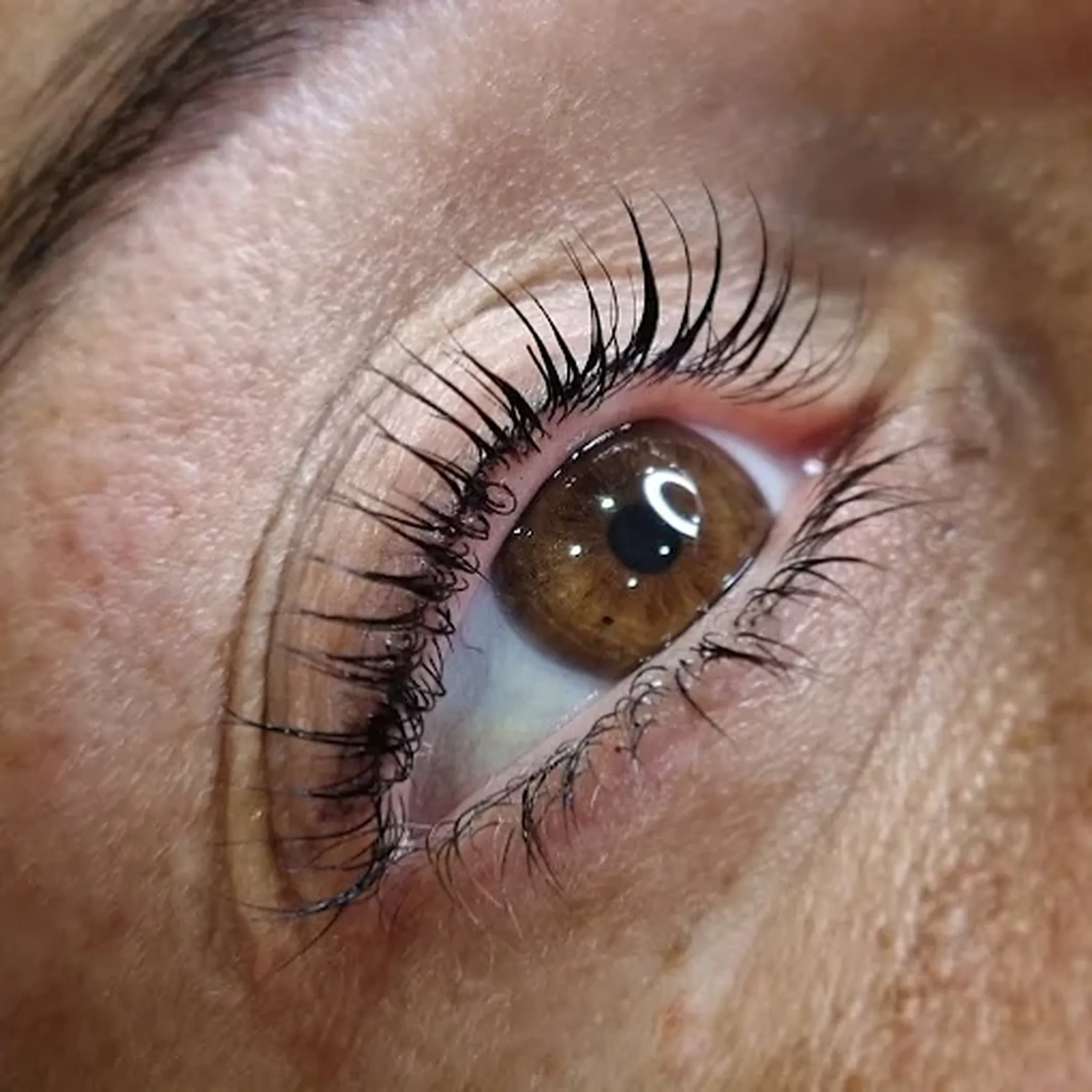 Gros plan d’un œil après lash lift : cils recourbés et sourcil redessiné.